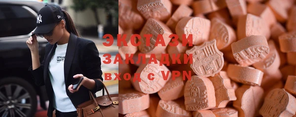 СК Алексин