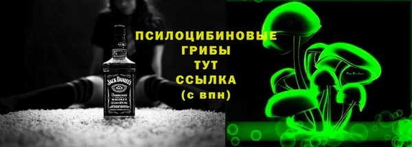 СК Алексин