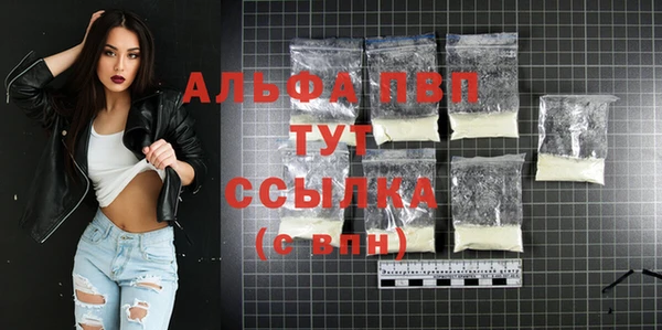 СК Алексин