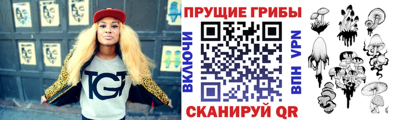 Псилоцибиновые грибы GOLDEN TEACHER  закладка  Игра 